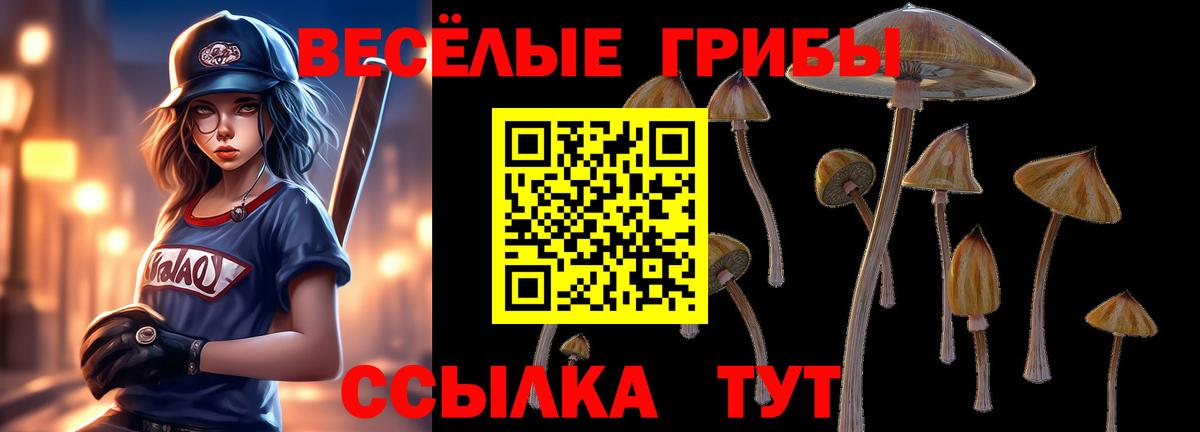 Галлюциногенные грибы MAGIC MUSHROOMS  Вход с VPN  Сланцы 